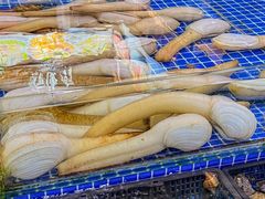 -华威西营里农产品批发市场