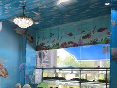 -小海豚•老字号海鲜餐厅(天涯店)