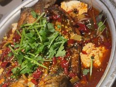 -川味堂·四川豆花(八卦岭店)