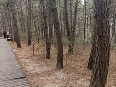 -帽儿山国家森林公园