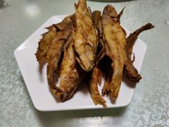 -煲来饱去冷水鱼