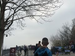 -紫金山山顶公园
