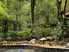 -明月山天沐温泉度假村