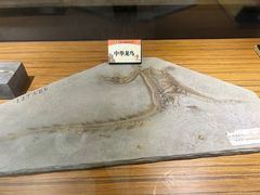 -六合国家地质公园桂子山景区
