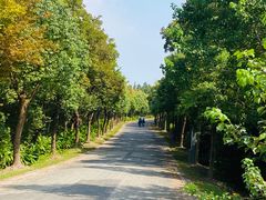 -上海海湾国家森林公园