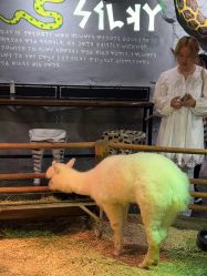 -Zoolung Zoolung动物主题公园(海信广场店)