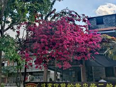 -扬美古镇景区