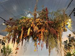 -自由生长植物工作室(深港花卉中心店)