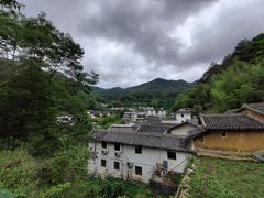 -雁南飞茶田景区