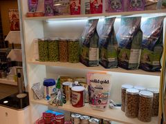 -猫十亿·布偶金渐层·曼基康矮脚猫舍(青年路店)