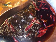 -辣伍鲜毛肚老火锅(元一店)