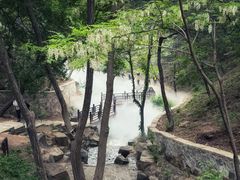 -北京西山国家森林公园