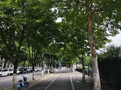 -金海湾滨江公园
