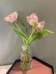 -花隐·美芙炫海菲秀皮肤管理中心