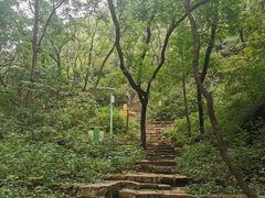 -老象峰