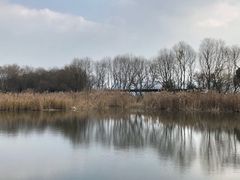 -西湖风景区-江洋畈生态公园