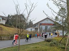 -中国大熊猫保护研究中心雅安碧峰峡基地