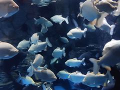 -多彩贵州城极地海洋世界