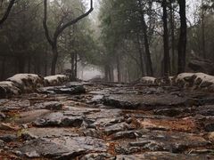 -阳台山自然风景区