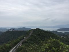 -黄贤森林公园