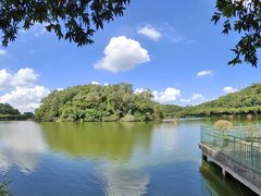 -李小龙乐园(顺德均安店)