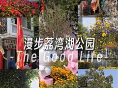 -荔湾湖公园