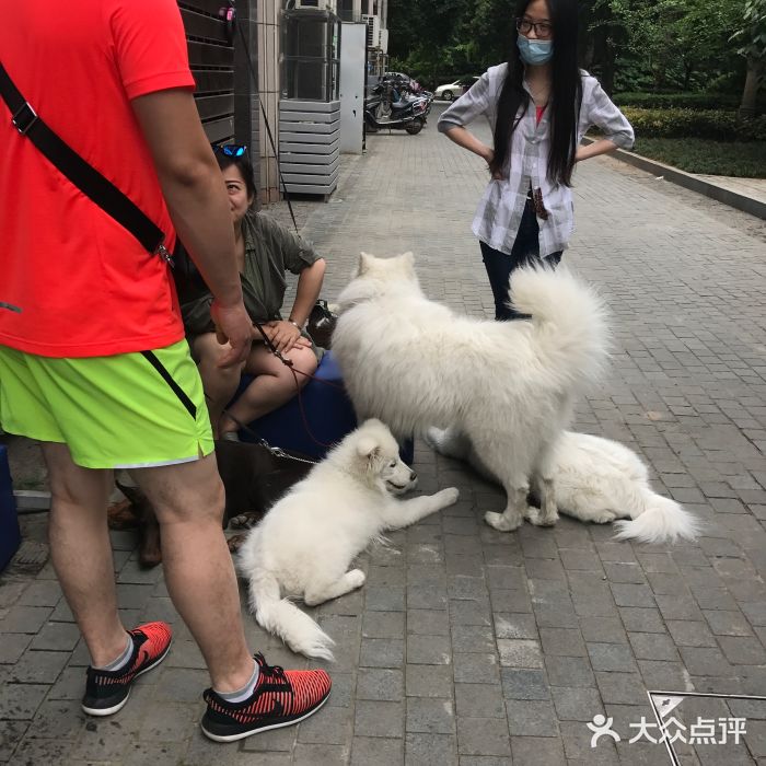 诺威宠物医院(官邸分院)图片