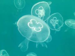 -多彩贵州城极地海洋世界