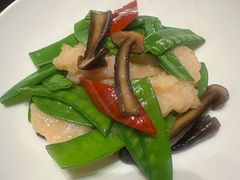 -觅唐MITONG(鸟巢店)