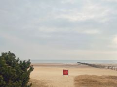 -日照海滨国家森林公园