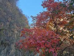 -京东石林峡风景区