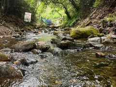 -南海湾森林生态园
