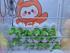 -可爱抓 COCO  GOTCHA(天津鹏欣水游城店)