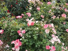 -人民公园(罗湖区)