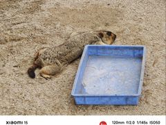 -泉州海丝野生动物世界