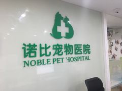 -诺比宠物医院心脏内科·泌尿肾内外科·骨科急重症
