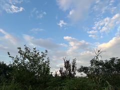 -上海国际音乐村