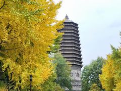 -玲珑塔公园