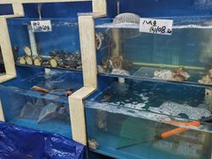 -胶东海鲜大排档(北太平庄店)