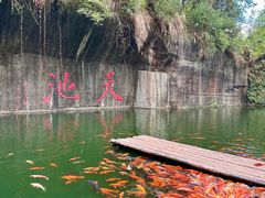 -千岛湖天屿景区