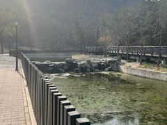 -白水寺森林公园