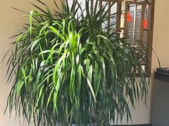 -清真·舒迩布炕锅王·高原美食文化(青海总店)