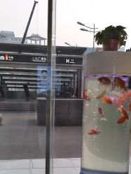 -痘庄科学祛痘皮肤管理国际连锁