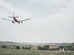 -空港花田景区