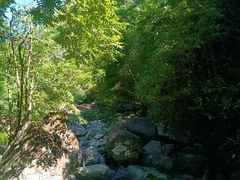 -太湖源风景区