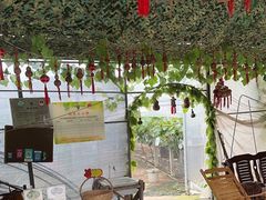 -马陆小张葡萄园农家乐