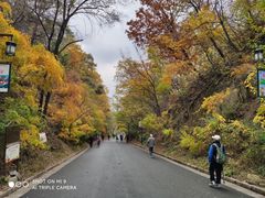 -北山公园