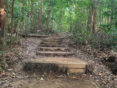 -武吉知马自然保护区