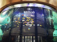 -佛山希尔顿酒店·融誉亚洲美食荟