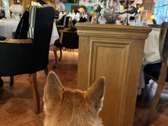 -火车头法国西餐厅